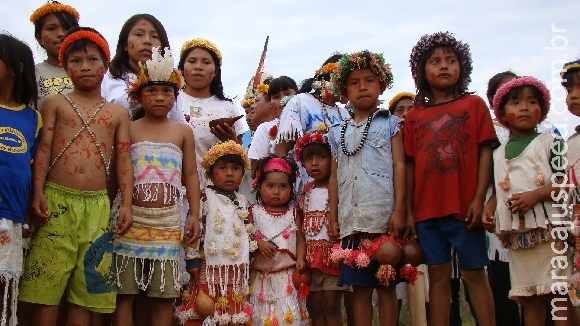 Guarani-Kaiowá são novamente atacados a tiros no Mato Grosso do Sul