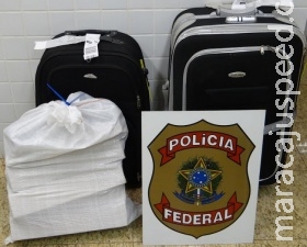 PF prende traficante de 20 anos com quase 25kg de maconha no aeroporto