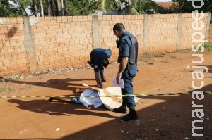 Escondido em guarda-roupas, acusado de matar homem com garrafada é preso