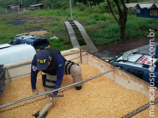 Maior apreensão de maconha da história da PRF saiu de Amambai