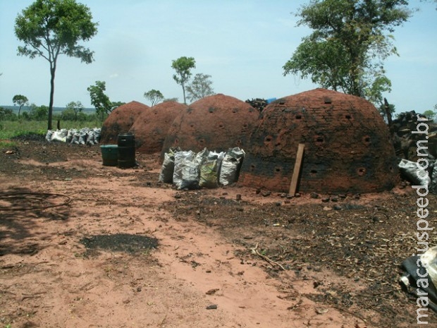 Carvoaria de assentamento é fechada e moradores multados em R$ 14,9 mil