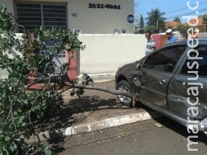 Motorista de 83 anos avança preferencial e causa capotagem na Capital