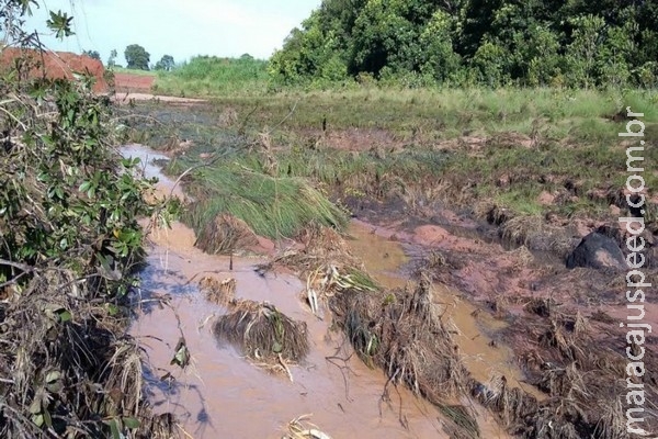 Proprietário rural leva multa de R$ 10 mil por dano ambiental