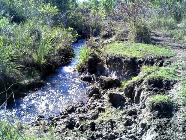 Fazendeira é multada em R$ 10 mil por crime ambiental em MS, diz polícia