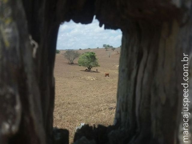 Defesa Civil teme colapso de água em Sergipe por causa da seca