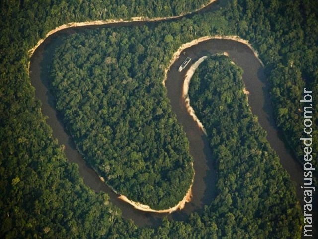  Em um ano, desmatamento na Amazônia cresce 29%, diz Inpe