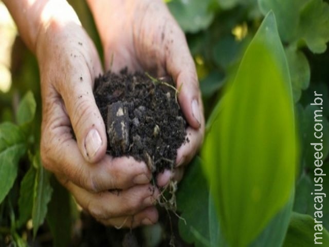 Mercado brasileiro de fertilizantes reage e cresce 10% sobre 2015