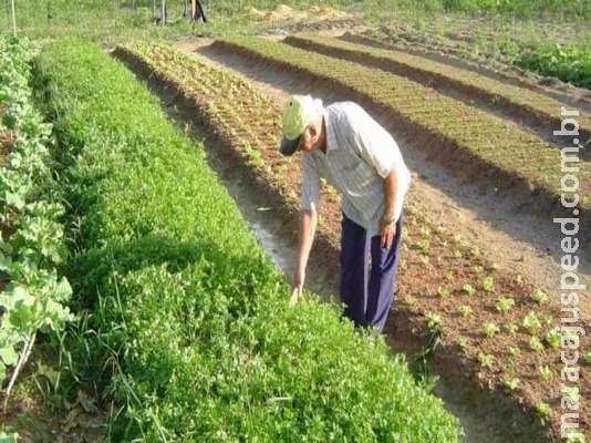 Emprego: agro é único setor da economia brasileira com saldo positivo em 12 meses