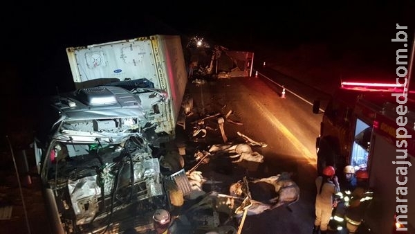 Acidente na BR-163 envolveu carreta de boiadeiro e caminhão e deixou um morto