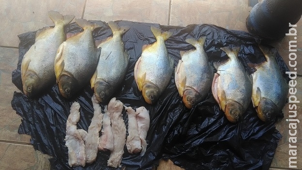 PMA autua 30, apreende 1232 kg de peixes capturados durante a piracema e aplica R$ 131,3 mil em multas em dois meses de operação