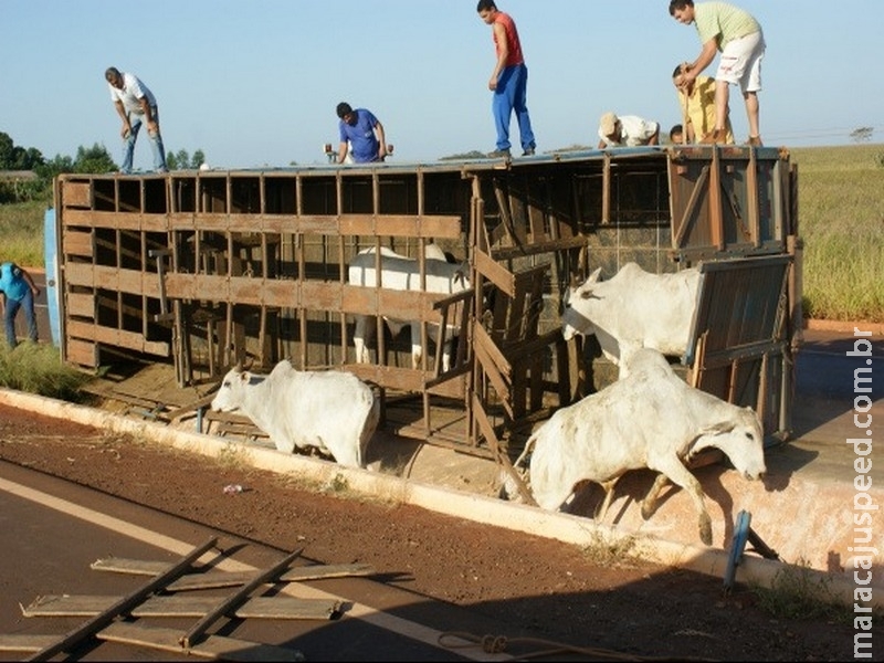 Maioria das vítimas de acidentes de trânsito no trabalho em MS são caminhoneiros