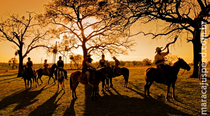 Cavalgadas são aventura certa para viver um pouco da cultura do homem pantaneiro