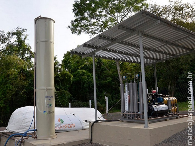 Filtro feito com bactérias purifica biogás para uso veicular