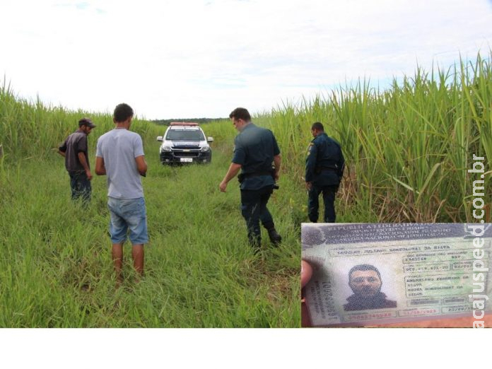 Atingido Por Tiro Acidental Rapaz Morre Durante Caçada De Javalis