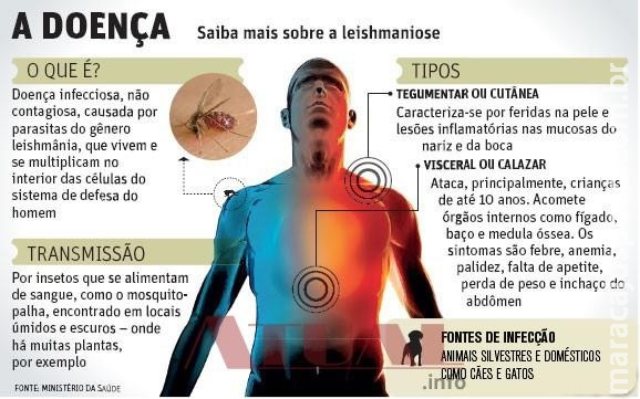 Em MS, 6 casos de leishmaniose foram confirmados só em janeiro