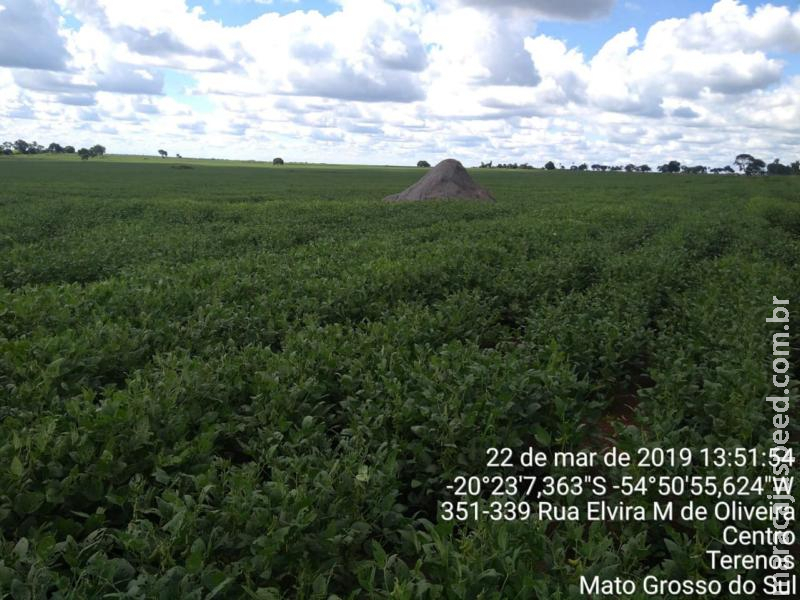 Polícia Militar Ambiental autua quatro infratores em R$ 10,8 mil por realização de atividade agrícola sem fazer conservação de solo