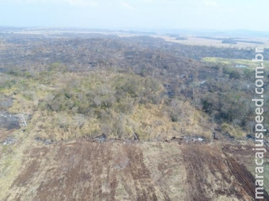 Fazendeiro é multado em R$ 224 mil por desmatamento e incêndio