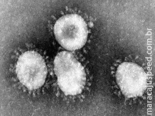 Novo coronavírus já infectou mais de 80 mil pessoas em todo o mundo; confira panorama atual