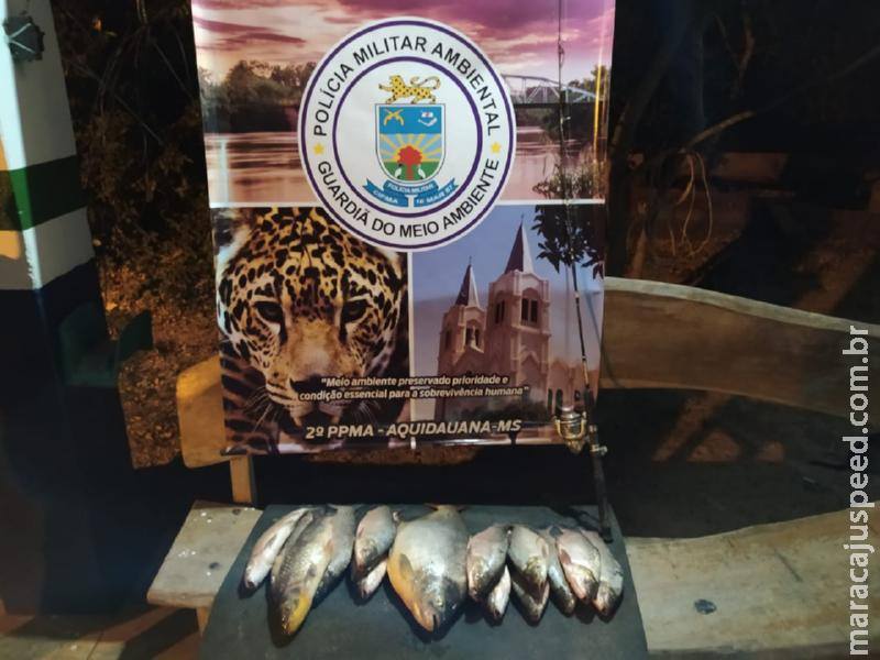 Polícia Militar Ambiental de Aquidauana prende e autua pescador em R$ 1,2 mil com pescado capturado acima da cota permitida e apreende 13 kg de pescado e veículo