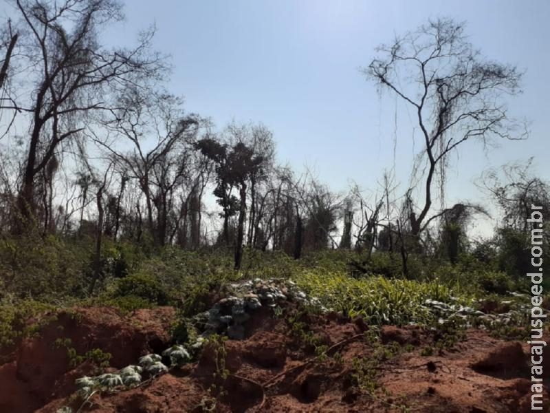 Polícia Militar Ambiental de Batayporã recebe denúncias e autua usina sucroenergética em R$ 100 mil por incêndio em lavoura de cana, atingindo matas protegidas