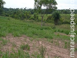 Fazendeiro de Caracol é multado em R$ 10 mil por desmatamento em área protegida