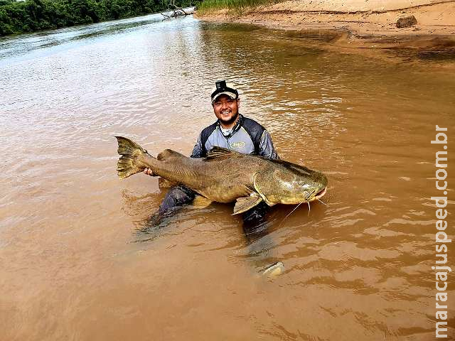  A semana é do peixe gigante: jaú de 1,70m sai do Rio Taquari 