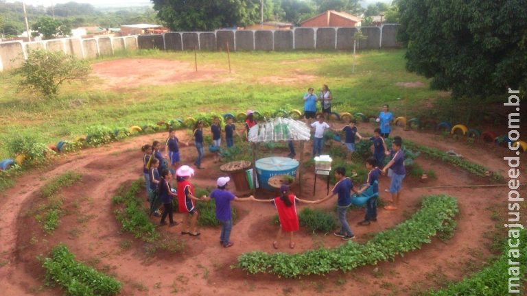 Alunos de escola municipal de Campo Grande estudam árvore e projeto é destaque em revista científica