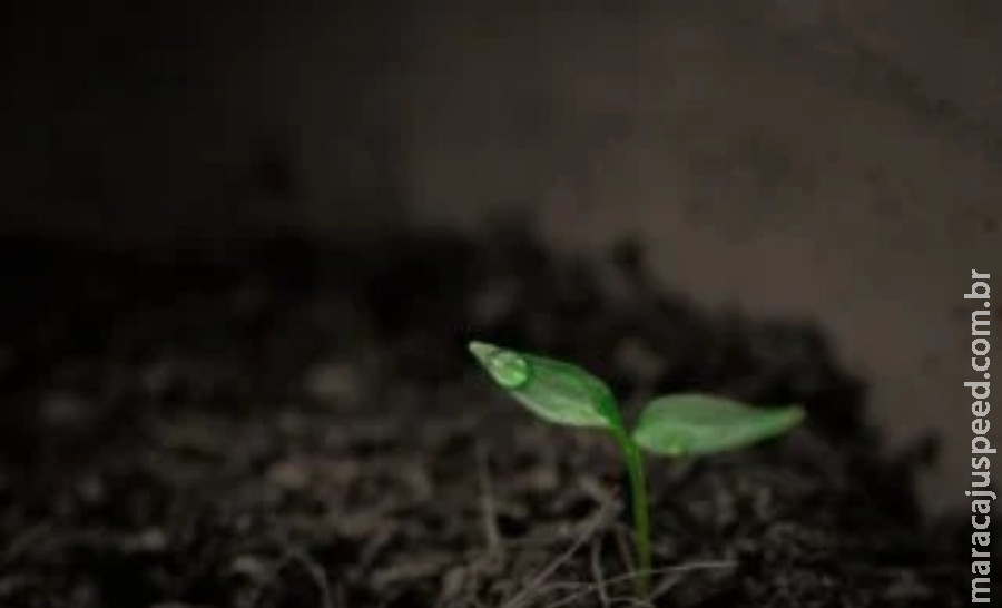  Chuvas em maio: veja como o La Niña vai influenciar os volumes no próximo mês 