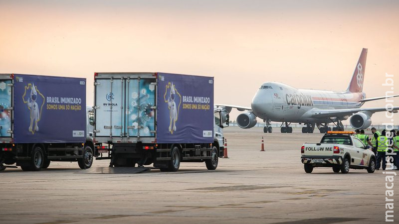 Inspetor da Anvisa fala sobre qualidade de transporte de medicamentos