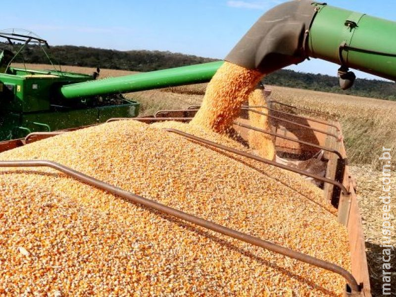  Mato Grosso do Sul colhe 13 milhões de toneladas de soja e bate recorde de produção 