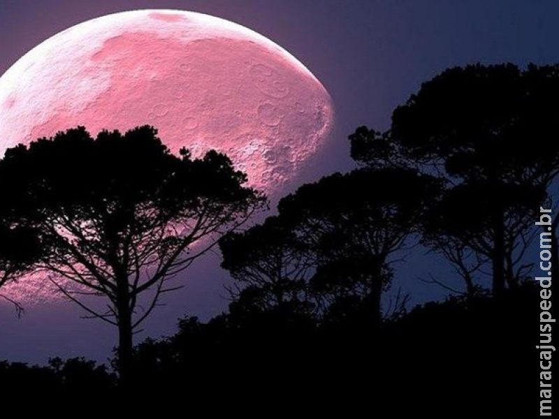  Olhe para o céu: fenômeno da Lua Rosa acontece na noite desta segunda 