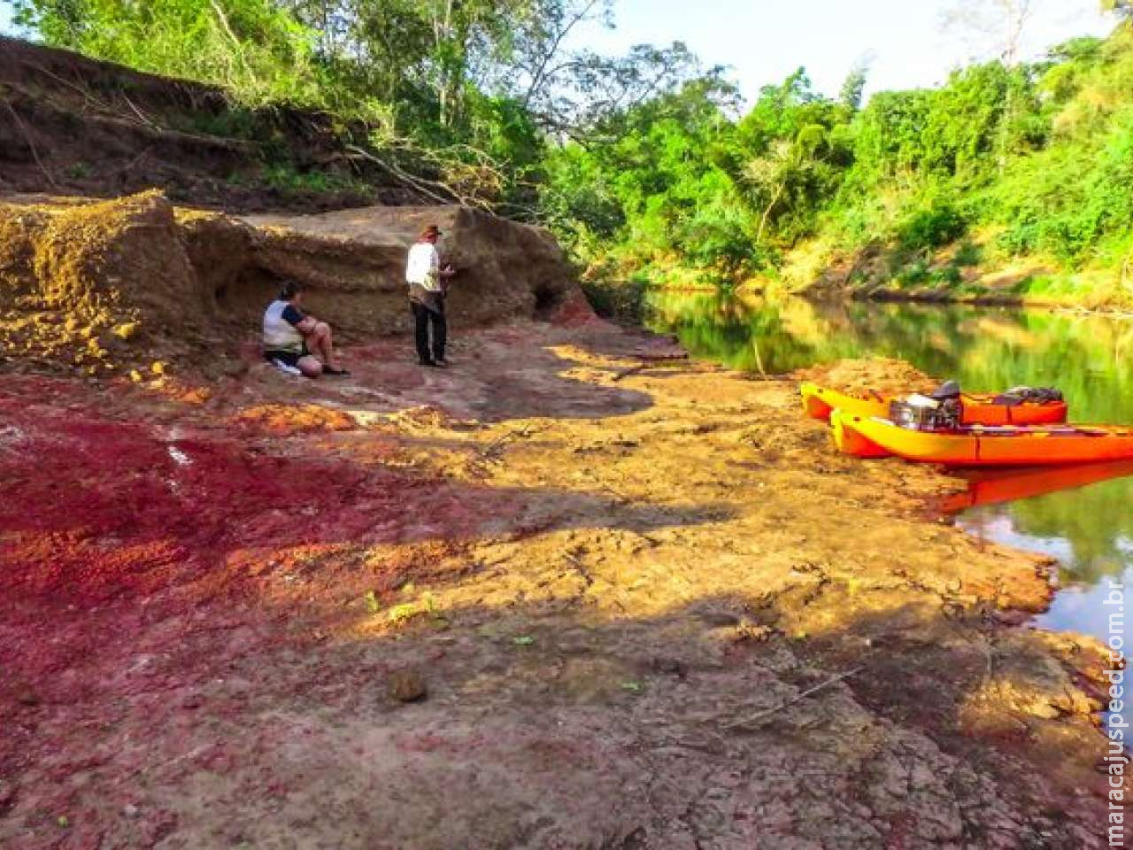  Estudo confirma presença de dinossauros em Mato Grosso do Sul 