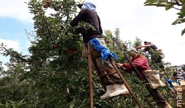 Mesmo na pandemia, mais de 100 mil trabalhadores foram atendidos pela Funtrab em 2021