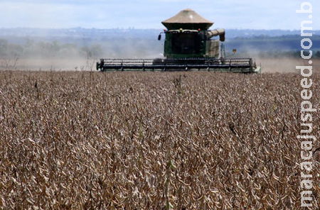  Sendo quarto maior município pecuário do Brasil, Sidrolândia, ampliou em 1,6% a área de soja. 