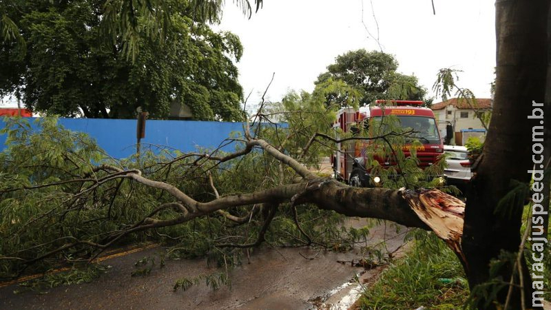 Atenção: Defesa Civil emite alerta para ventos de até 60km/h em MS