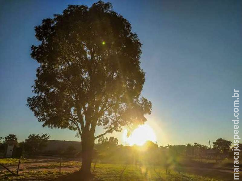 Semana começa com tempo gelado, mas calor deve predominar em MS