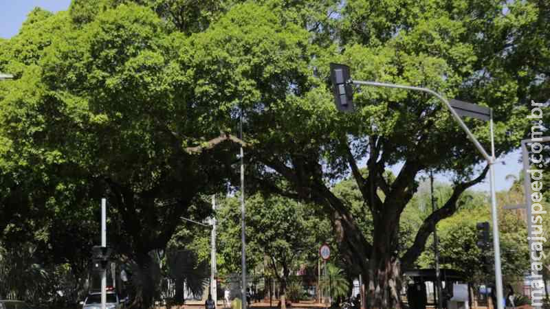 Semana do Meio Ambiente será marcada por Blitze ecológico e Drive Thru de reciclagem em Campo Grande