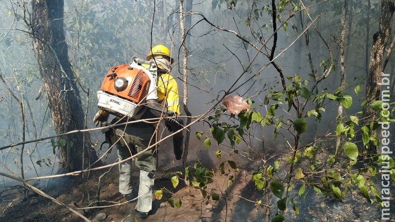 Incêndio de grandes proporções atinge Serra da Bodoquena e já consumiu 4 mil hectares em MS