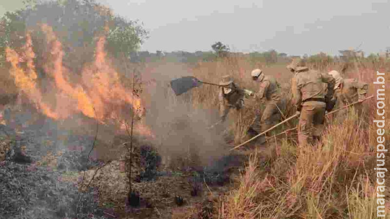 Porto Esperança conta com duas frentes de combate ao incêndio no Pantanal em MS