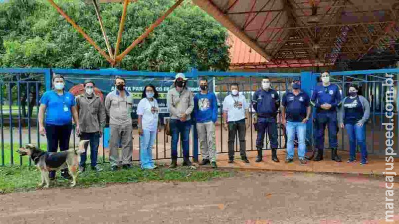 Colaboradores voluntários combatem o Aedes aegypti em mais de 300 instituições de Campo Grande