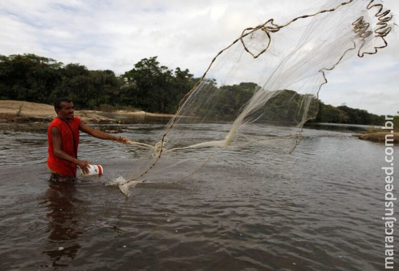 Proposta proíbe pesca do dourado por cinco anos nos rios brasileiros