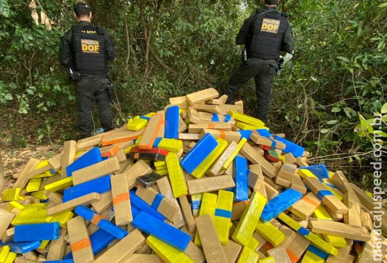 Polícia apreende 1.130 quilos de drogas em mata às margens da MS-280 