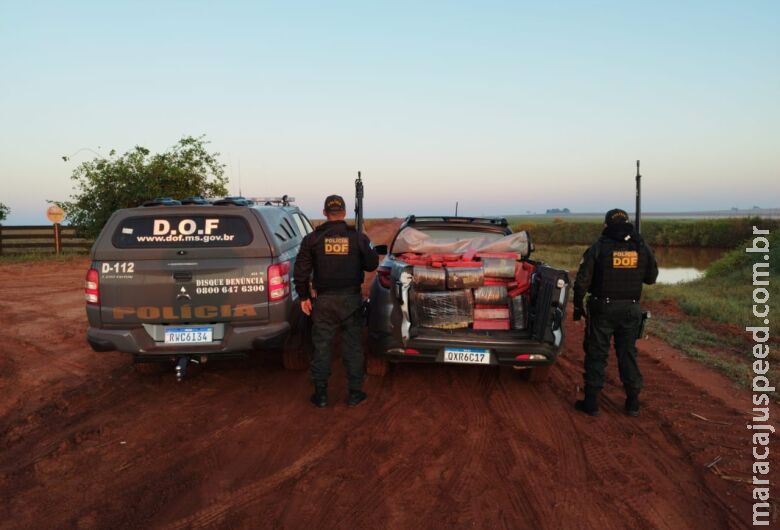 Polícia apreende mais de 1t de maconha em veículo locado 