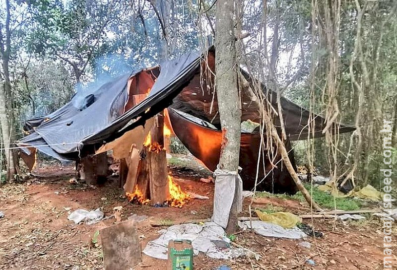 Senad destrói ‘acampamentos do tráfico’ usados por organização criminosa