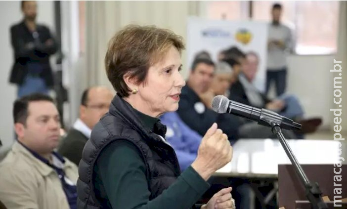 Tereza Cristina lidera corrida pelo Senado com ampla vantagem