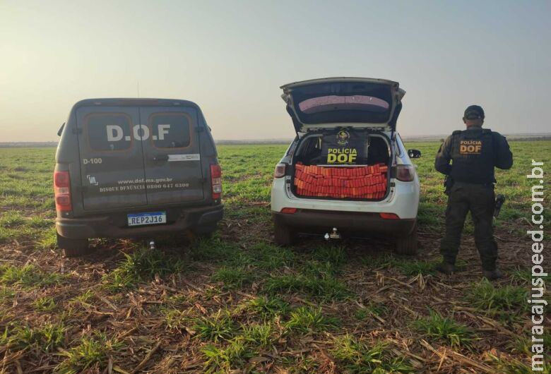 Com uma tonelada de maconha, motorista tenta fugir da polícia e acaba preso