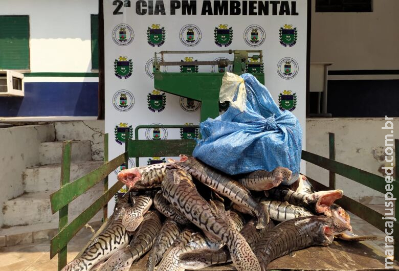 Homem é preso por pesca ilegal e polícia apreende 87 kg de peixe