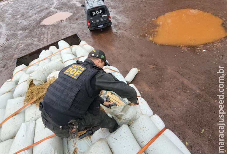 Polícia encontra 3t de maconha em meio a carga de feno