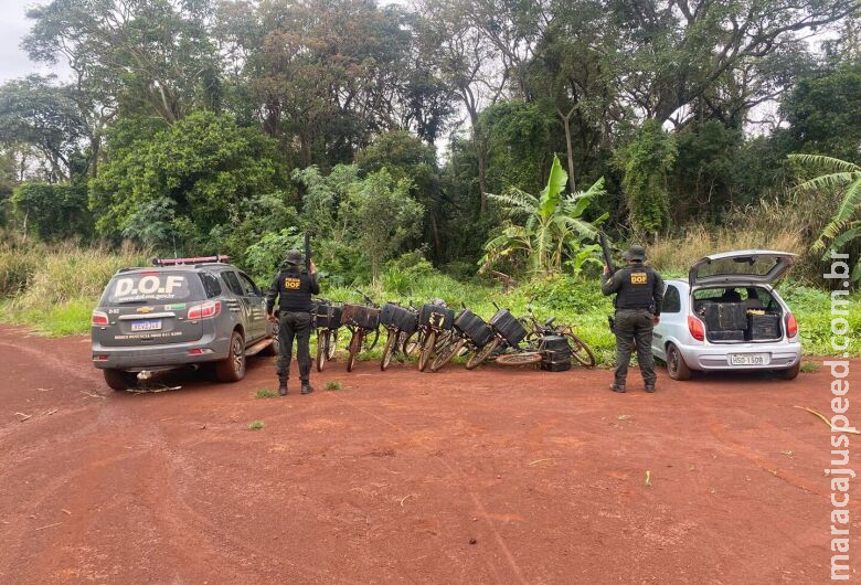 "Bikes do tráfico": quase 700kg de maconha são apreendidas em mata