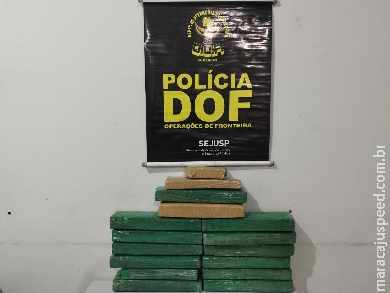 Maracaju: Droga que era levada por passageiro para São Paulo é apreendida pelo DOF